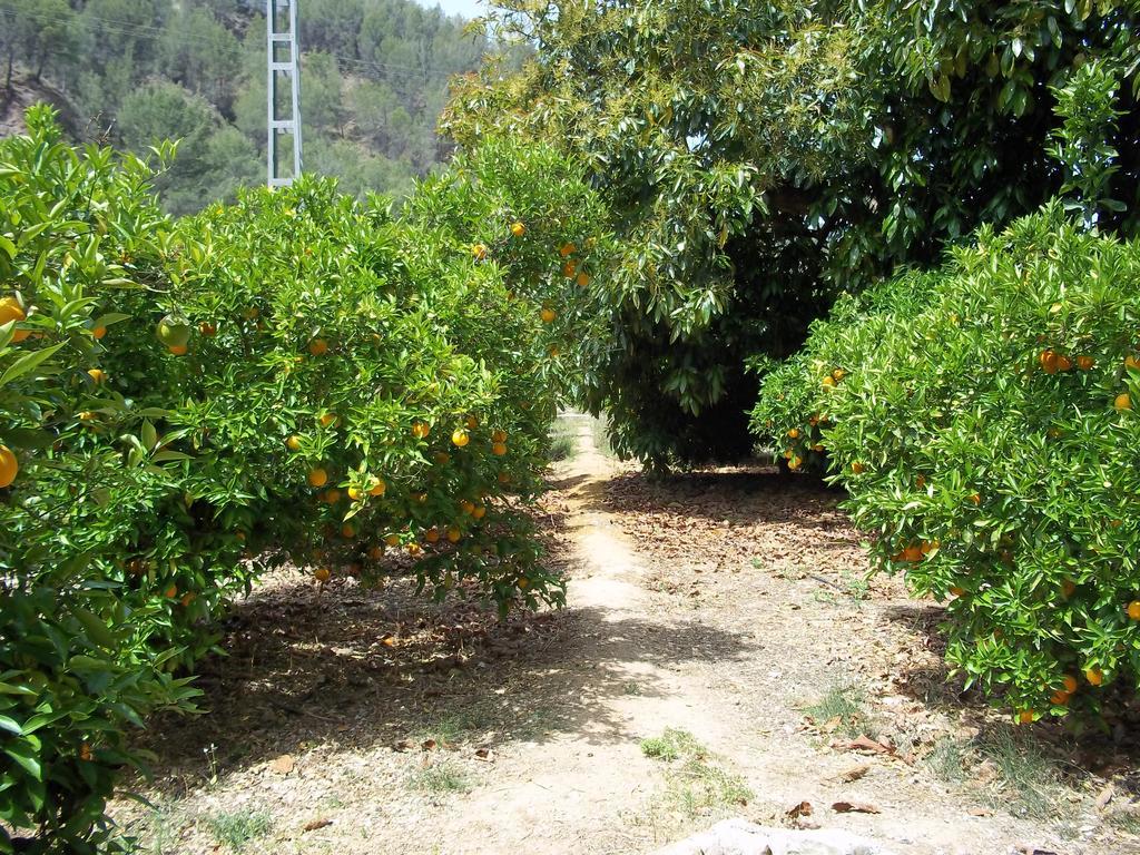 הוילה Callosa D'en Sarria Casa Mika El Molinet מראה חיצוני תמונה