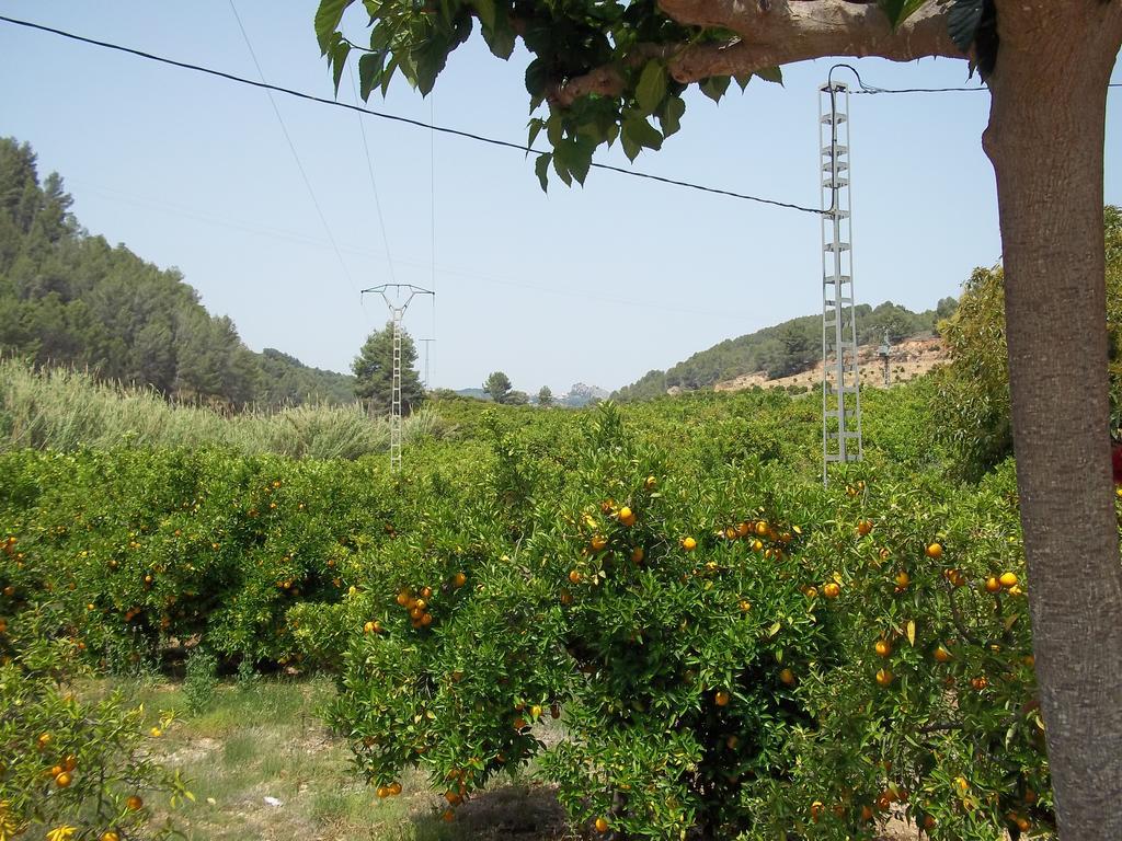 הוילה Callosa D'en Sarria Casa Mika El Molinet מראה חיצוני תמונה